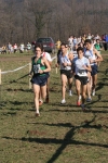 cross_342.jpg