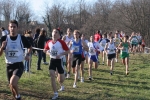 cross_366.jpg