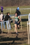 cross_371.jpg