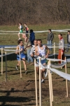 cross_375.jpg