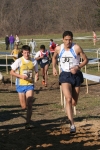 cross_378.jpg