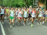 Morselli_bagnolo07_078.jpg