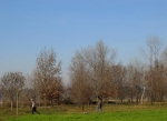 gara_06.01.07_0102.jpg