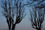 bergamo_05.01.07_0083.jpg
