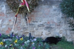bergamo_05.01.07_0123.jpg