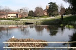 10.03.07Carate.Brianzolo-roberto.mandelli-005.jpg