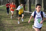 10.03.07Carate.Brianzolo-roberto.mandelli-244.jpg