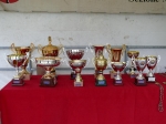 p1000442.jpg