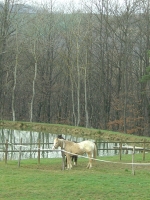 costi07_011.jpg