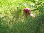 img_4672.jpg