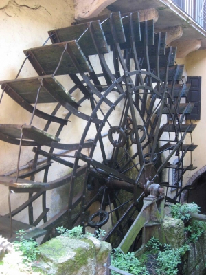 Clicca per vedere l'immagine alla massima grandezza