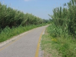 102.jpg