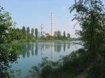 117.jpg