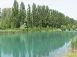 123.jpg