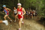 forbici_francesco07_208.jpg