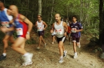 forbici_francesco07_210.jpg