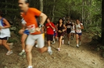 forbici_francesco07_212.jpg