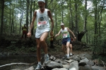 forbici_francesco07_251.jpg