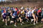 27.1.07GiussanoBrianzolo-roberto.mandelli-031.jpg