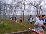 Immagine_007.jpg