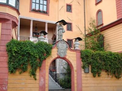 Clicca per vedere l'immagine alla massima grandezza