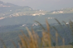 IMG_3810.JPG