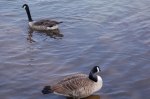 dsc_0112.jpg