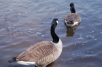dsc_0117.jpg