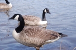 dsc_0118.jpg