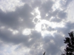290707_Malavicina_078.jpg