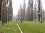 224873494133_0_BG.jpg
