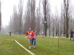 263873494133_0_BG.jpg