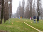 379073494133_0_BG.jpg