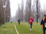 430173494133_0_BG.jpg
