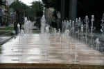 img_7491.jpg