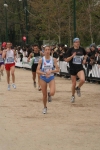 stram1_445.jpg