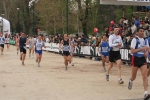 stram1_476.jpg