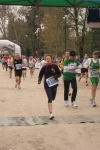 stram1_494.jpg