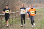 IMG_4774.JPG