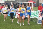 IMG_9382.JPG
