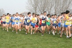 IMG_9453.JPG