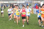 IMG_9485.JPG
