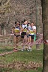 cross_026.jpg