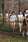 cross_031.jpg