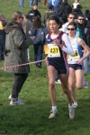 cross_071.jpg