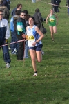 cross_080.jpg