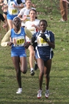 cross_340.jpg