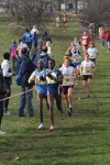 cross_341.jpg