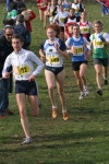 cross_347.jpg