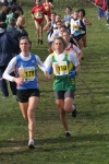 cross_348.jpg
